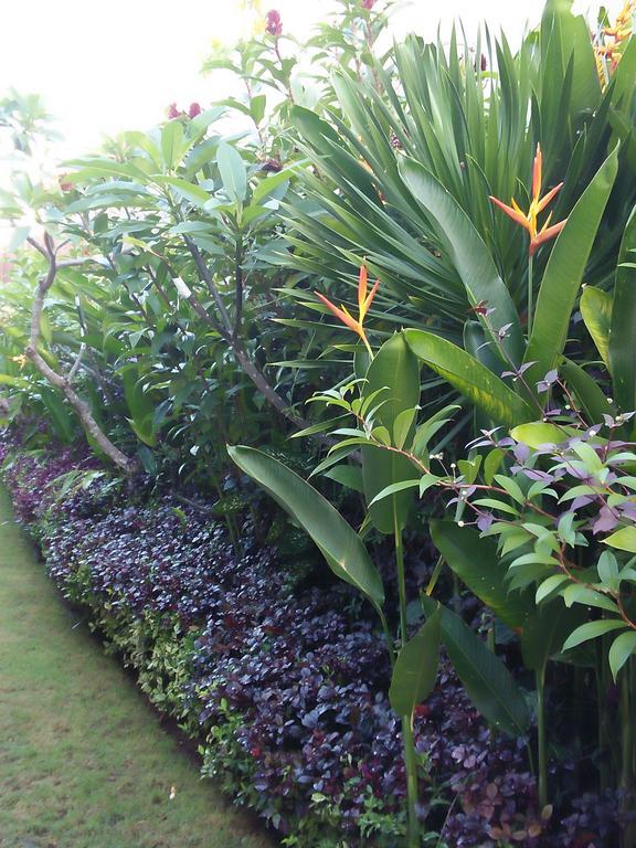 The Wina Guest House 2 Canggu Exterior foto